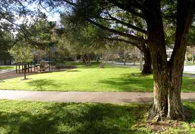 North-Hill:-Alabama-Square_08.jpg:  cedar tree, playground, slides, swing, rye grass, playground, preservation district