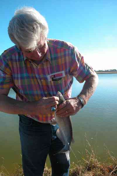 Oak-Grove:-Carpenters-Catfish-Farm_01b.jpg:  hook, fisherman, catfish pond, fish pond, lake, sports fishing