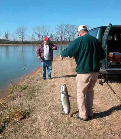 Oak-Grove:-Carpenters-Catfish-Farm_04.jpg:  mayor barnes, catfish, rod and reel, catfish farm, catfish pond