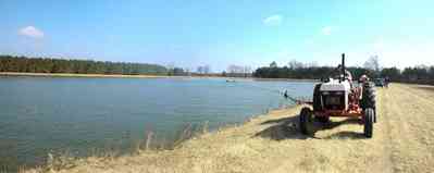 Oak-Grove:-Carpenters-Catfish-Farm_17.jpg:  catfish pond, catfish harvest, seine, net