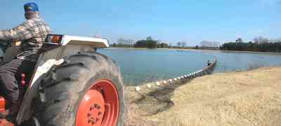 Oak-Grove:-Carpenters-Catfish-Farm_17a.jpg:  catfish pond, catfish harvest, seine, net