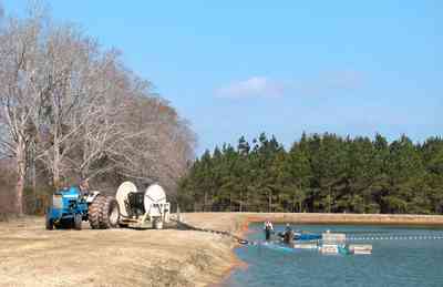 Oak-Grove:-Carpenters-Catfish-Farm_18.jpg:  catfish pond, catfish harvest, reel, seine, net