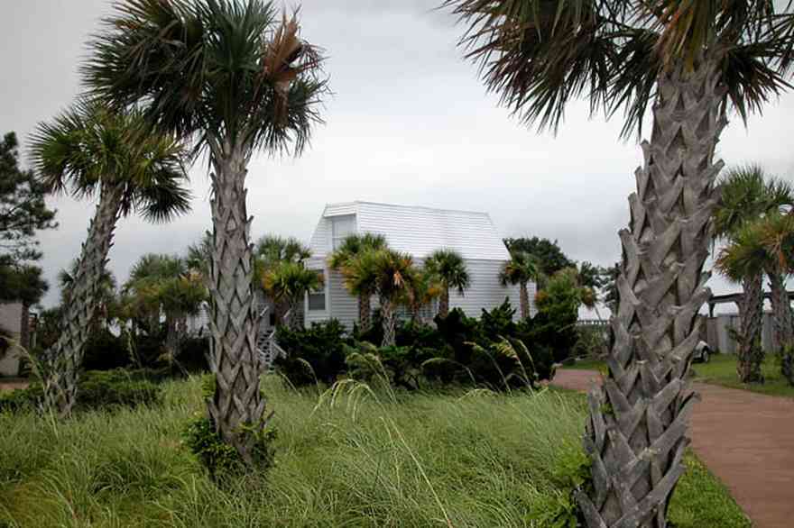 Pensacola-Beach:-225-Sabine-Drive_01.jpg:  palm trees, sea oats, driveway, beach house, escambia county, sabine bay, 