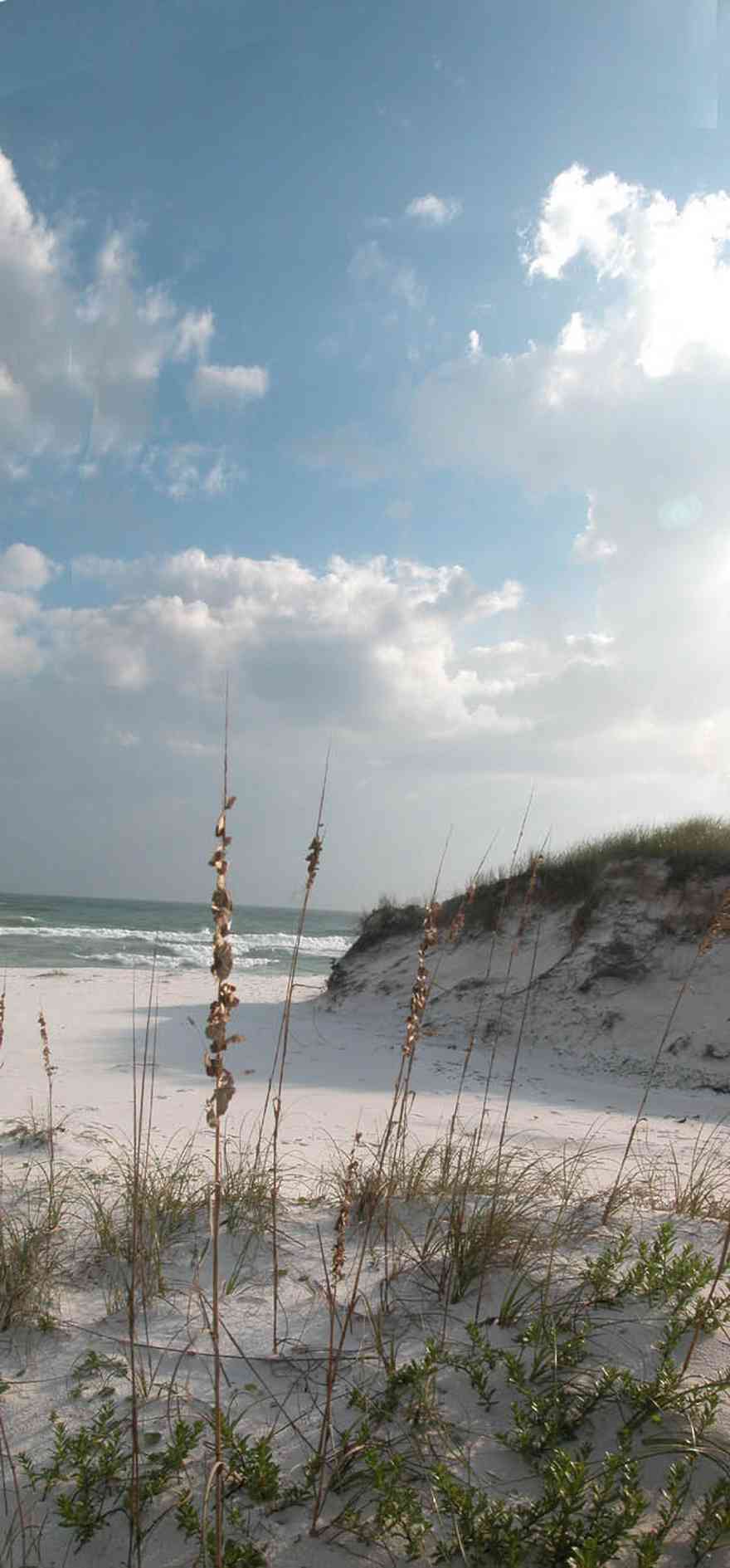 Pensacola-Beach:-Gulf-Islands-National-Seashore-Dunes_10.jpg:  dunes, sand, white sand, sea oats, waves, surf, 