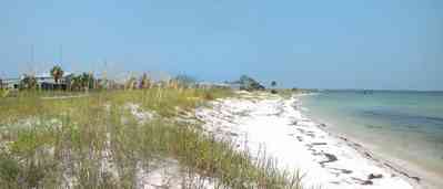 Pensacola-Beach:-Rio-Vista-Drive_04.jpg:  beach front, sea oats, sound, pensacola bay, palm tree