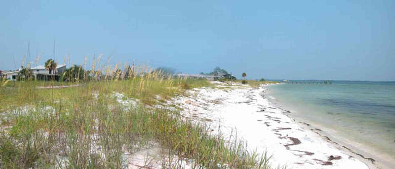 Pensacola-Beach:-Rio-Vista-Drive_04.jpg:  beach front, sea oats, sound, pensacola bay, palm tree