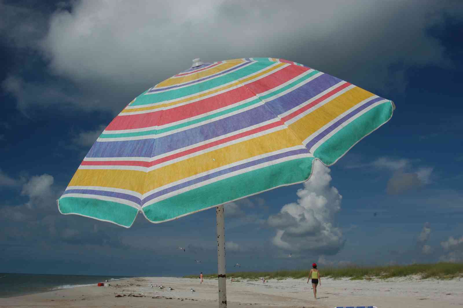 beach+web.jpg:  beach, umbrella, dune, , beach