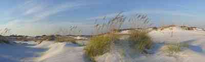 Pensacola-Beach:-Waterfront_06.jpg:  sea oats, dunes, beach, 