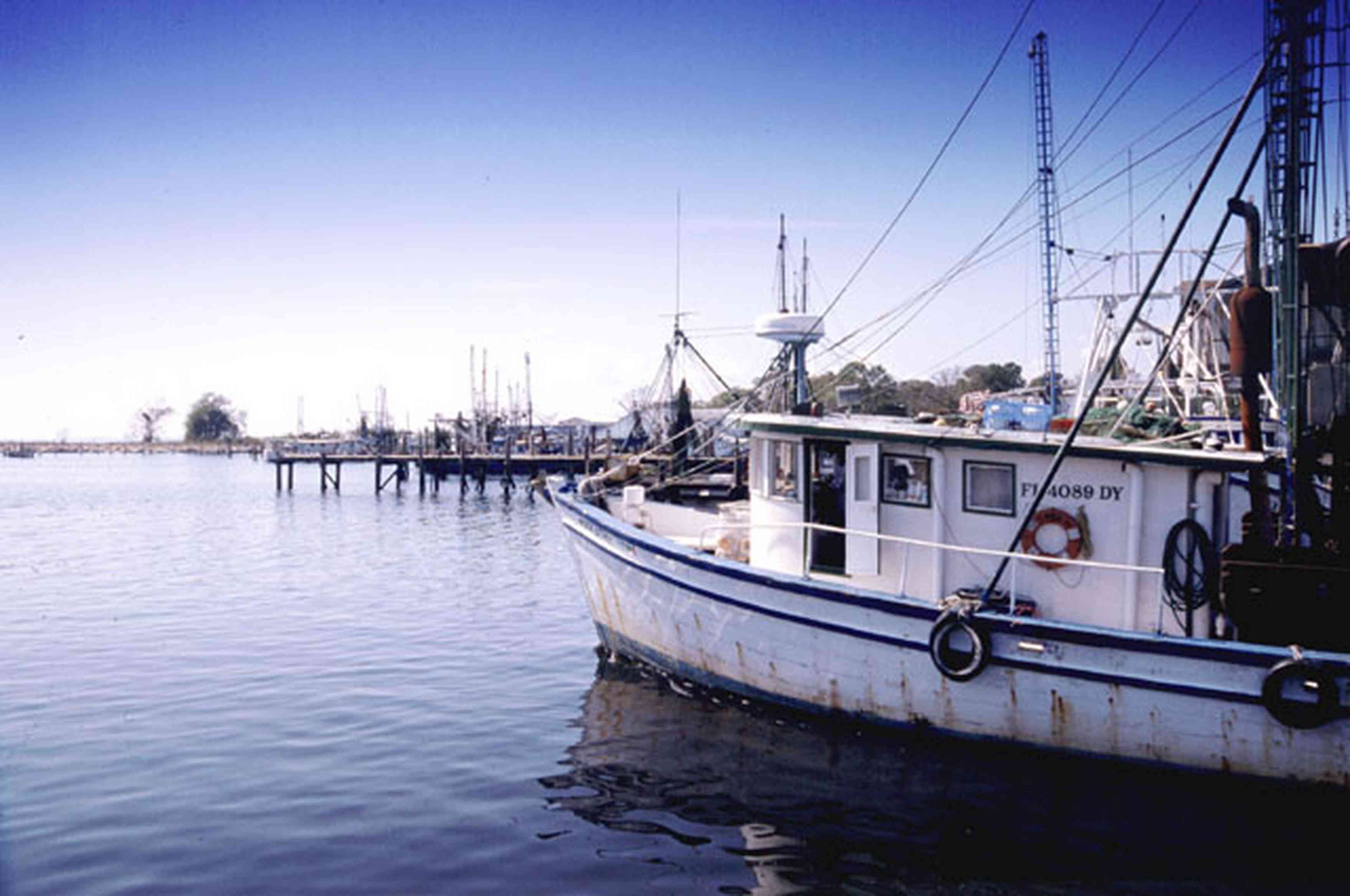 Pensacola:-Downtown:-Joe-Patti-Seafood_01.jpg:  fishing boat, pensacola bay, escambia bay, bayfront, seafood store, 