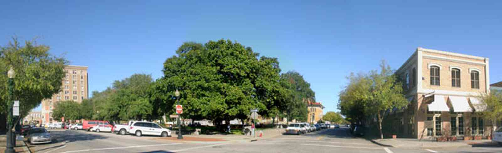 Pensacola:-Palafox-Historic-District:-Jacksons-Restaurant_01.jpg:  restaurant, empire building, magnolia tree, town square, plaza, park