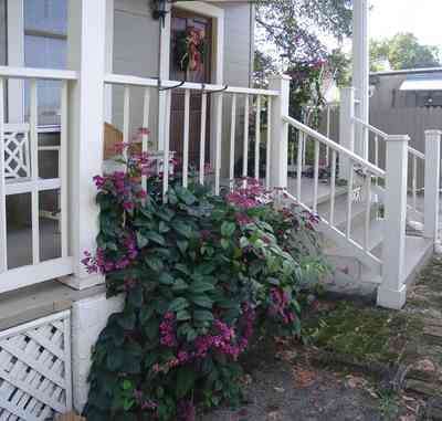 Pensacola:-Seville-Historic-District:-311-East-Intendencia-Street_03.jpg:  gulf coast cottage, flowering vine, trellis, porch, stucco
