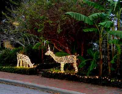 Pensacola:-Seville-Historic-District:-601-Crown-Cove_03.jpg:  christmas scene, deer, banana tree, brick sidewalk, historic district