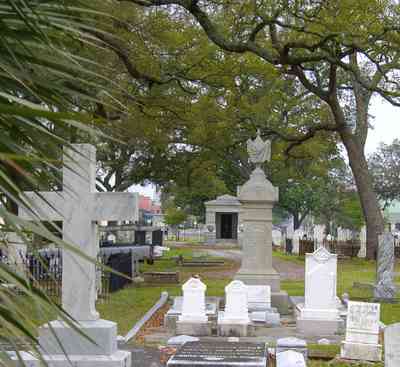 Pensacola:-Seville-Historic-District:-St-Michael-Cemetery_09.jpg:  cross, crypt, tomb, cemetery, oak tree