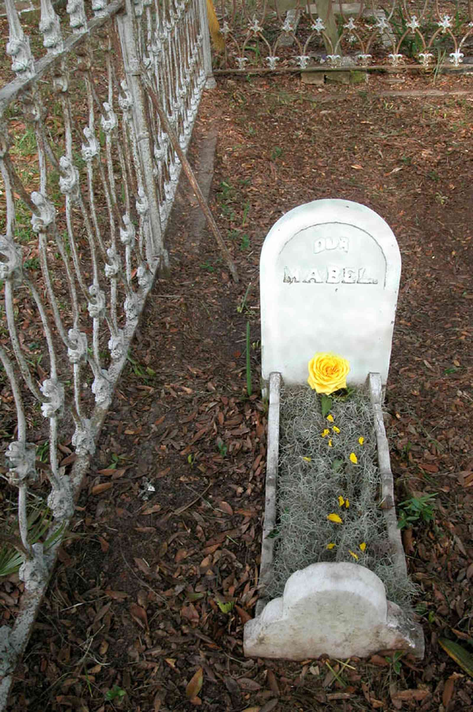 Pensacola:-Seville-Historic-District:-St-Michael-Cemetery_33.jpg:  graveyard, wrought iron fence, cross, oak trees, floral tribute