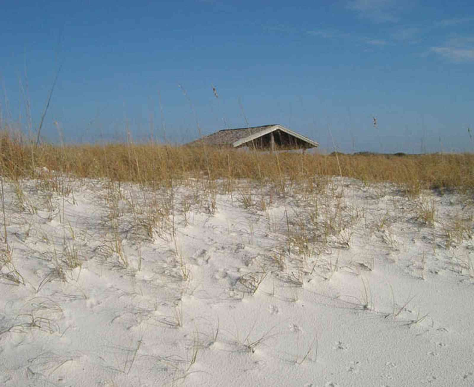 Perdido-Key:-State-Recreation-Area-1_01.jpg:  dune, sea oats, shelter, boardwalk