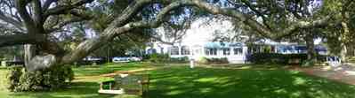 Sanders-Beach:-Pensacola-Yacht-Club_03.jpg:  oak tree, awning, swing
