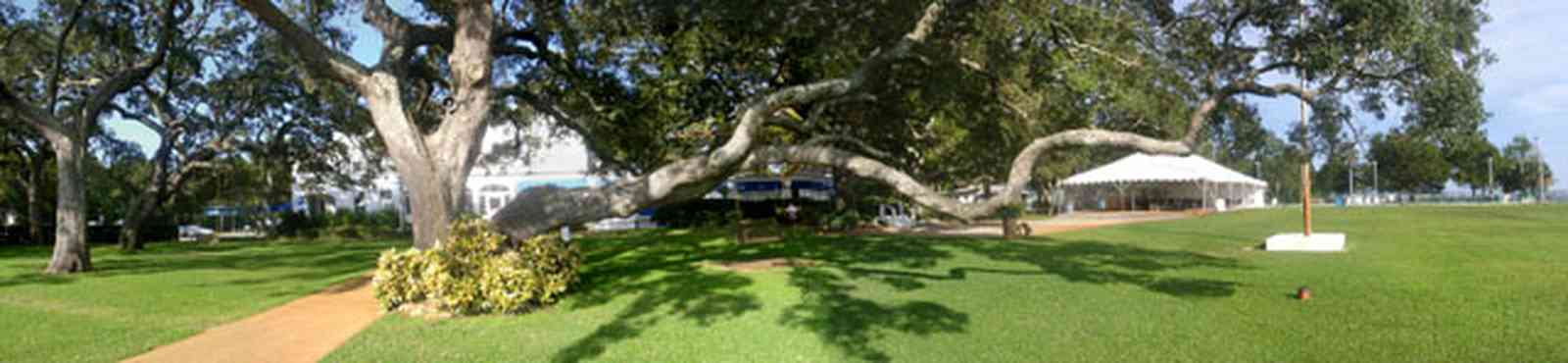 Sanders-Beach:-Pensacola-Yacht-Club_05.jpg:  oak tree, sail, lawn, awning