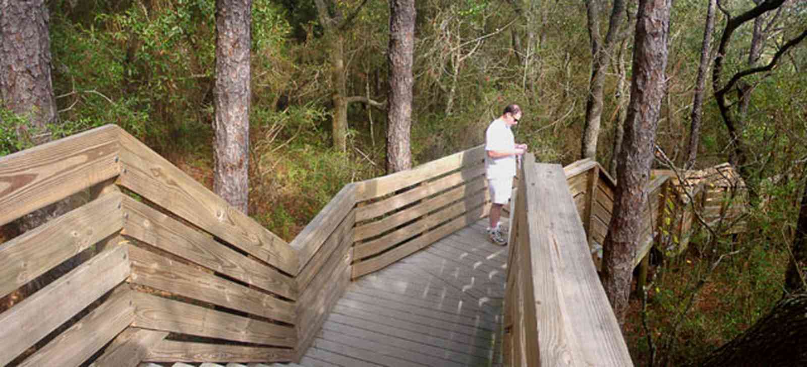Scenic-Highway:-Bay-Bluffs-Park_01.jpg:  deck, stairs, pine trees