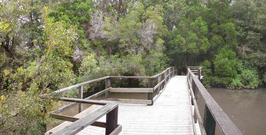 University-Of-West-Florida:-Nature-Trail_02.jpg:  deck, walkway, nature trail, swamp, marsh