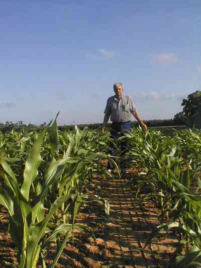 Walnut-Hill:-Brett-Ward-Farm_02.jpg:  corn, farm, escambia county, seed corn, field corn, farmland