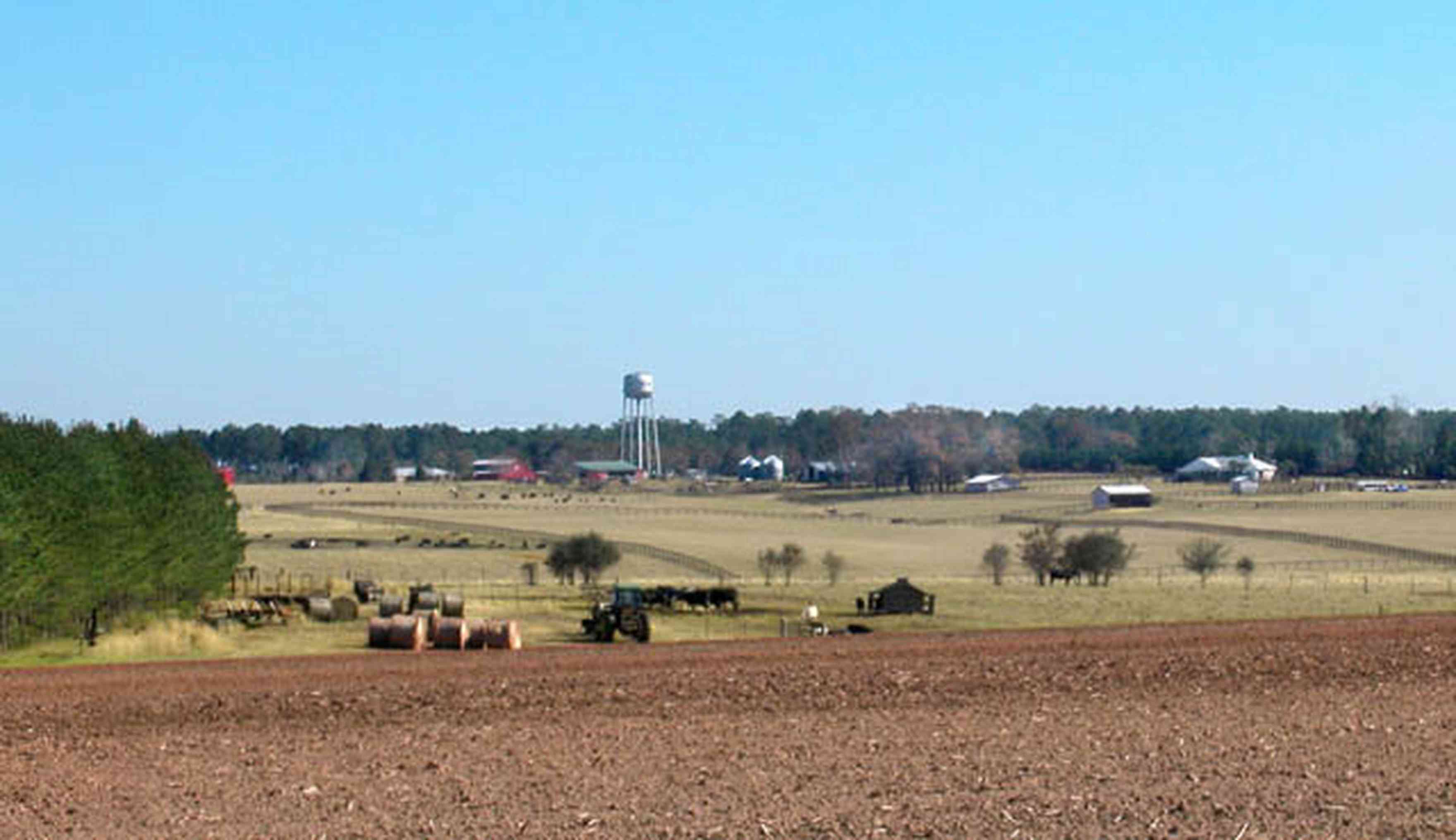 Walnut-Hill:-Cunningham-Farm_00a.jpg:  farm, fields, cattle, water tower, barns, fence, bales of hay, pine trees, plowed fields, rolling land, valley, , 