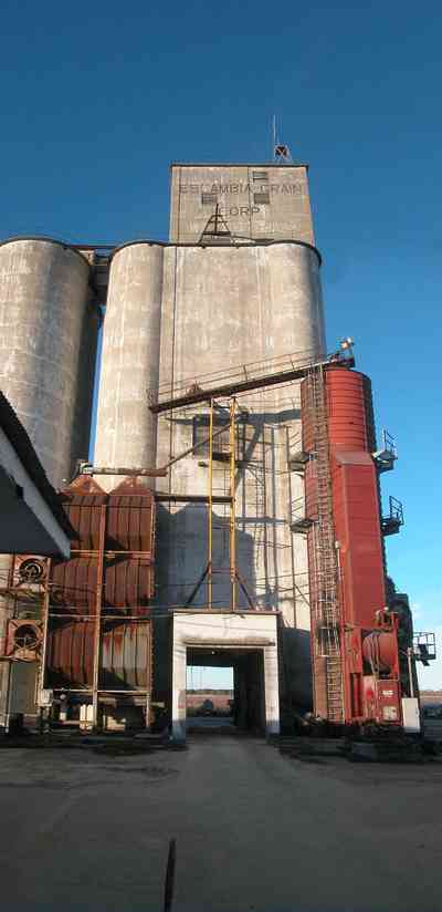 Walnut-Hill:-Escambia-Grain-Corp_05.jpg:  grain elevator, wheat, corn, soy beans, tower, loading dock, farmers, seed, fertilizer