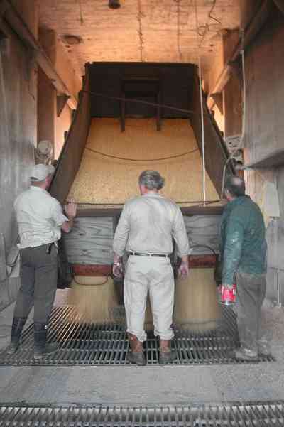 Walnut-Hill:-Escambia-Grain-Corp_07.jpg:  grain elevator, wheat, corn, soy beans, tower, loading dock, farmers, seed, fertilizer, 
