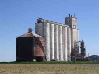 Walnut-Hill:-Kansas-Road-Wheat_09.jpg:  wheat, farm, farms, walnut hill,grains, rural, mennonite, grain elevator, 