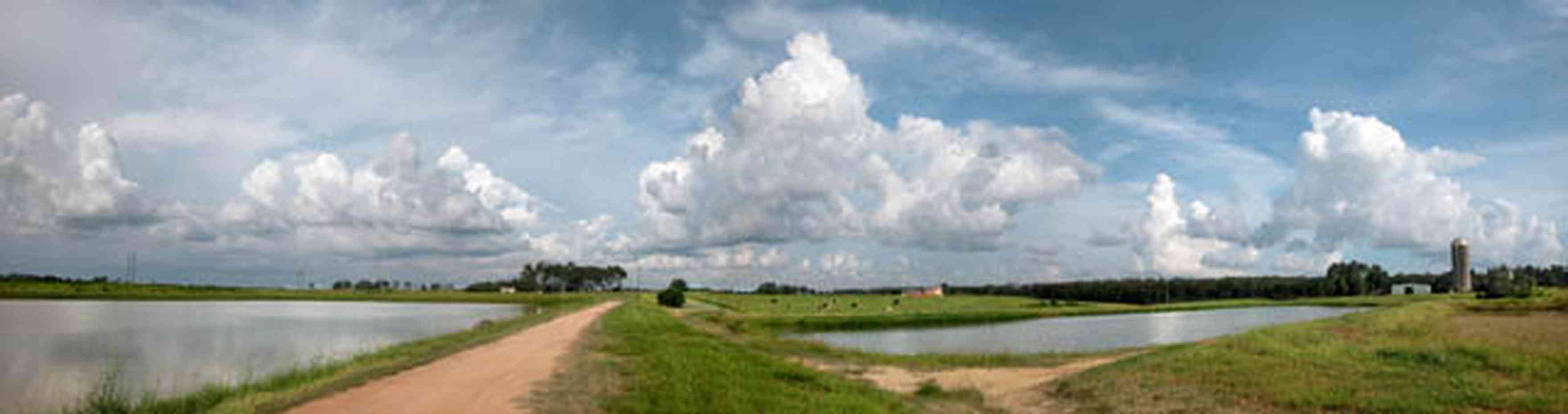 Walnut-Hill:-Kansas-Road:-Dairy-Farm_00.jpg:  catfish ponds, levee, dirt road, country road, silo, dairy farm, cows, cumulus clouds