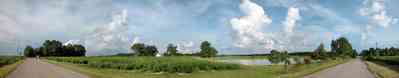 Walnut-Hill:-Solomon-Farm_01.jpg:  lake, pond, oak tree, cotton fields, cumulus cloud, two-lane road, country road