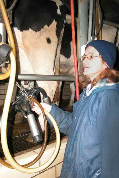 Walnut-Hill:-VanPelt-Farm_12.jpg:  dairy farm, heifer barn, milking barn, corral, fence, farmer, holstein cows, udder, milking machine, suction, farmland