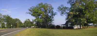 Walnut-Hill:-Ward-Farm_01.jpg:  farmland, craftsman style home, oak tree, magnolia tree, highway 97, corn field, menonite religious community, two-lane road, curving road, escambia county