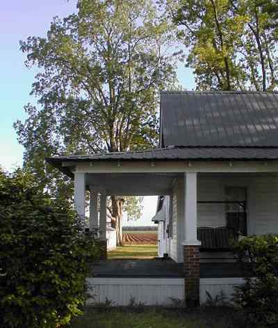 Walnut-Hill:-Ward-Farm_05.jpg:  farmland, craftsman style home, oak tree, magnolia tree, highway 97, corn field, menonite religious community, two-lane road, curving road, escambia county