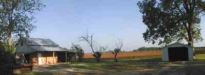 Walnut-Hill:-Ward-Farm_06.jpg:  farmland, craftsman style home, oak tree, magnolia tree, highway 97, corn field, menonite religious community, two-lane road, curving road, escambia county