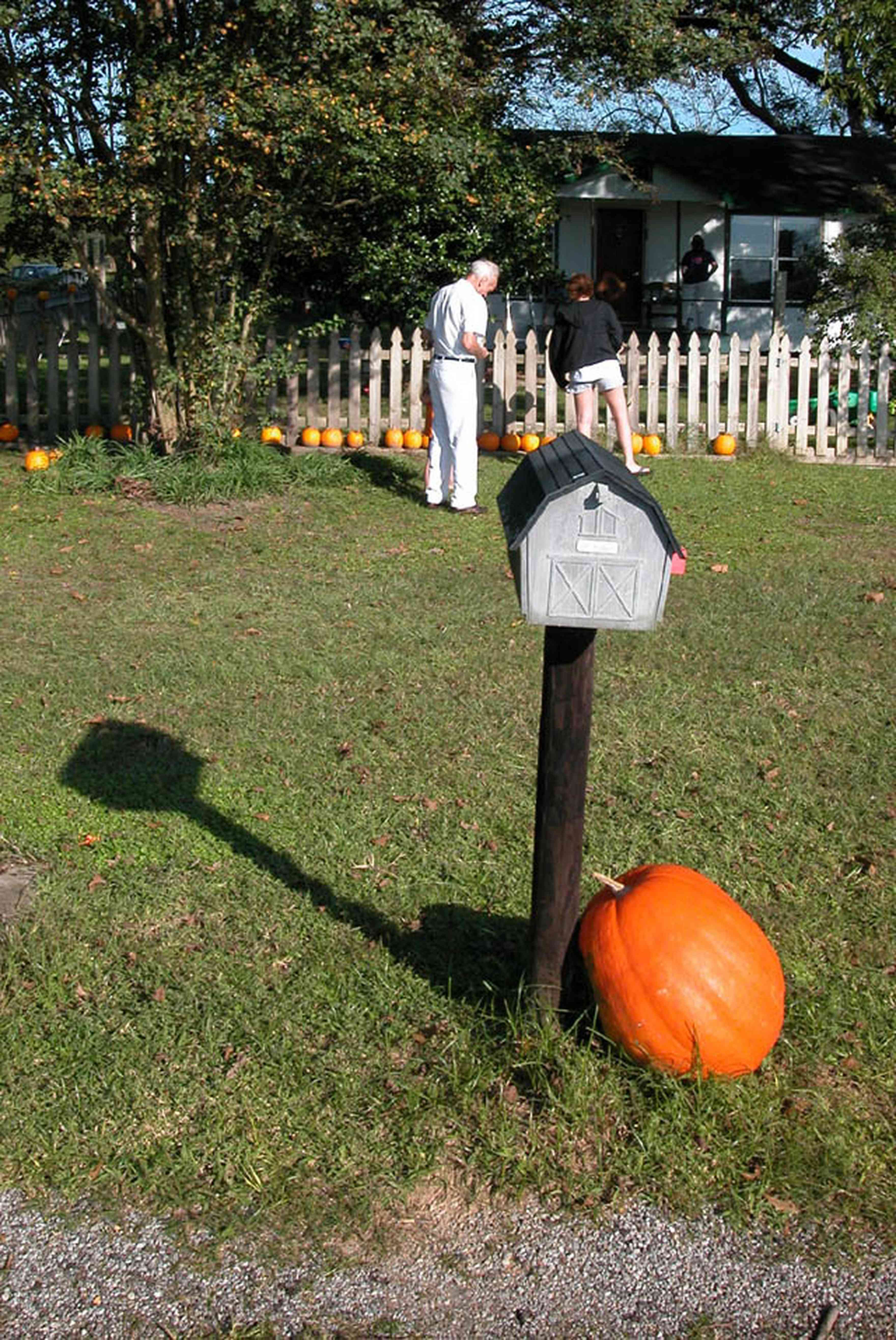 Whitfield-Community:-Whitfield-Farm-Giant-Pumpkin-Patch_00.jpg:  pumpkins, mailbox, picket fence, curbside sales, farmer, farming