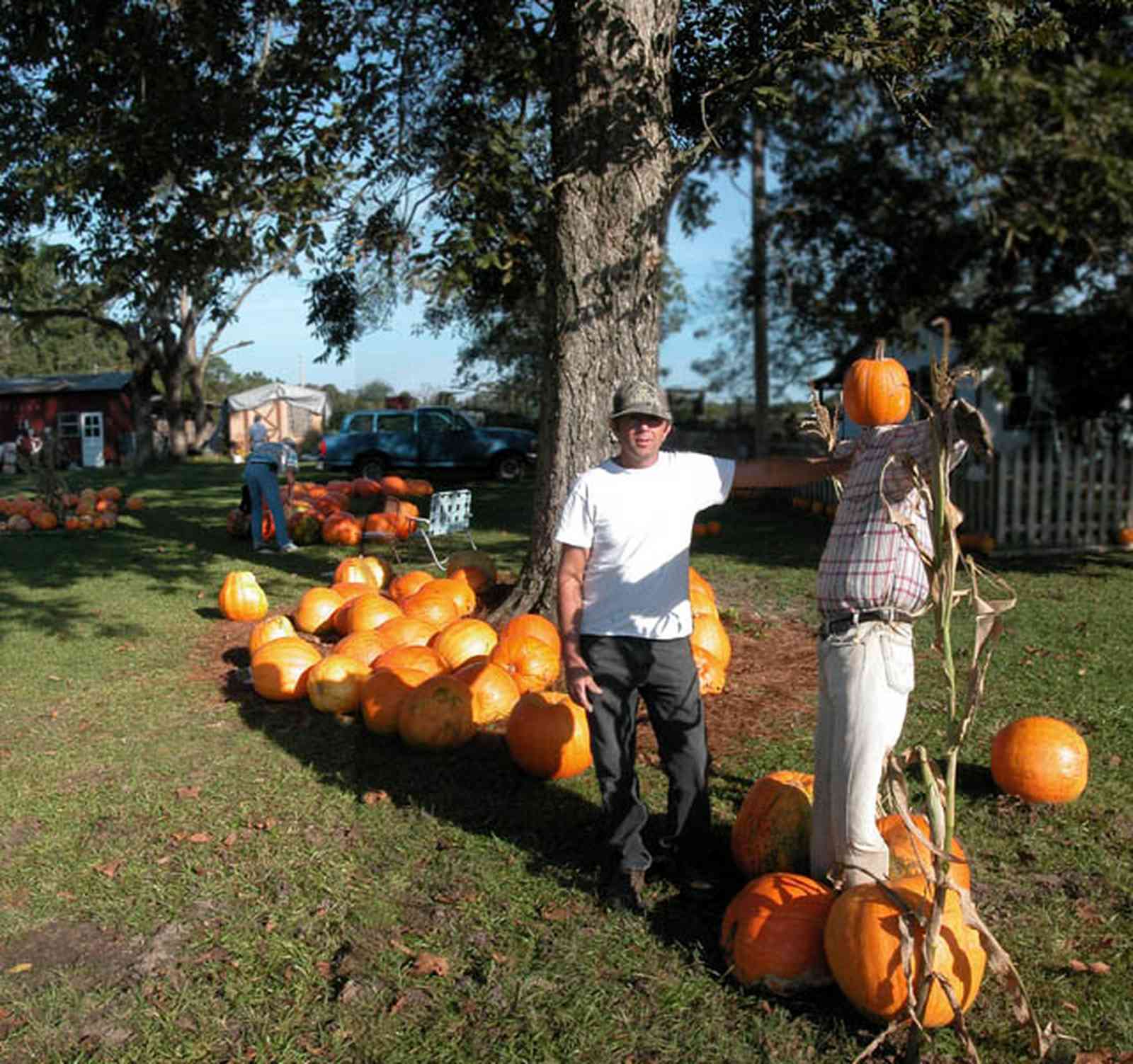 Whitfield-Community:-Whitfield-Farm-Giant-Pumpkin-Patch_02.jpg:  pumpkins, mailbox, picket fence, curbside sales, scarcrow, pumpkin patch, farmer, farming