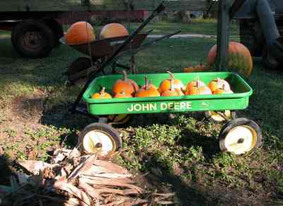 Whitfield-Community:-Whitfield-Farm-Giant-Pumpkin-Patch_04.jpg:  pumpkins, mailbox, picket fence, curbside sales, farmer, wagon, wheelbarrow, farming
