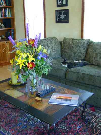Aragon:-557-Aragon-Street_12.jpg:  cat, oriental rug, living room, sofa, aragon, tour of homes, vase of flowers