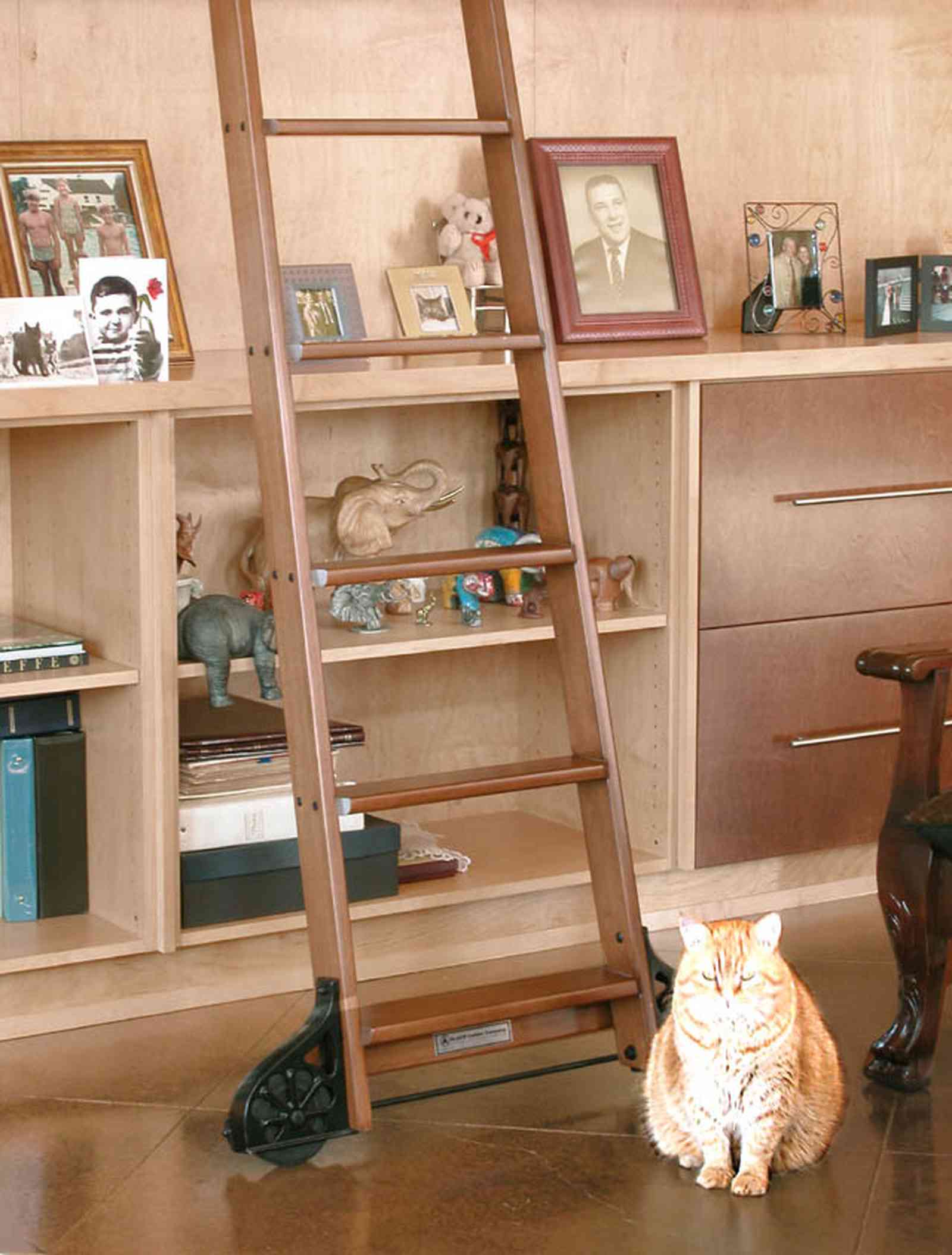 Aragon:-649-Aragon-Street_09.jpg:  tabby cat, library ladder, wooden bookcases, painted floor, cabinets, retro design