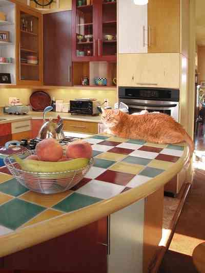Aragon:-649-Aragon-Street_19.jpg:  basket of fruit, tabby cat, ceramic tile counter, kitchen, painted floors, built-in appliances