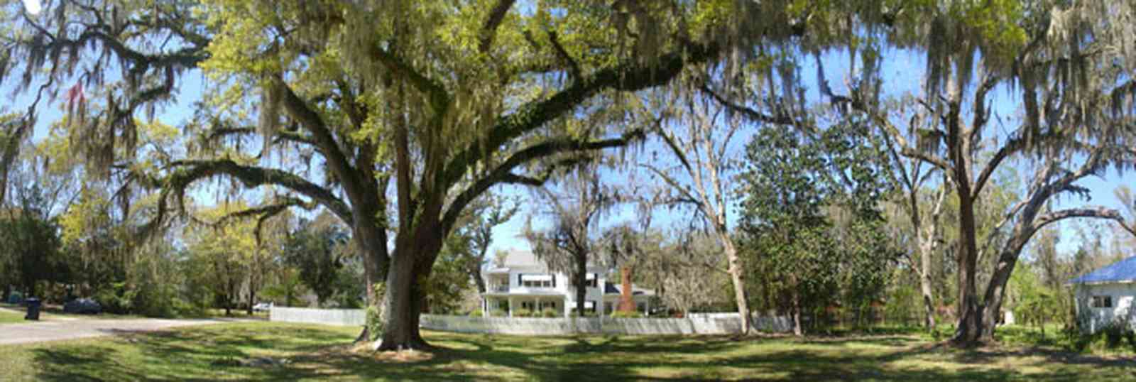 Bagdad:-Creary-Crawford-Walsh-House_07.jpg:  oak tree, victorian house, spanish moss, white picket fence, bagdad
