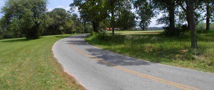 Blackwater-River-State-Park:-Indian-Ford-Road_02.jpg:  county road, oak trees, two-lane highway, two-land road, farmland, farm, pasture