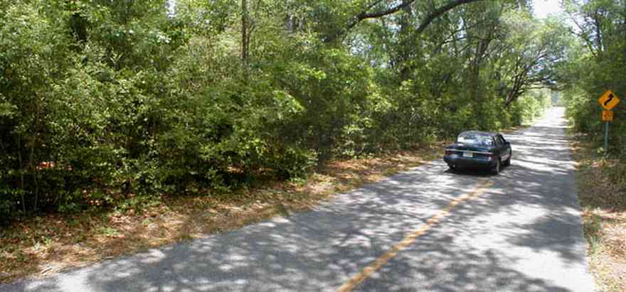 Blackwater-River-State-Park:-Munson-Highway_01.jpg:  winding road, curve ahead, forest, park, tunnel of trees, blackwater forest, , 
