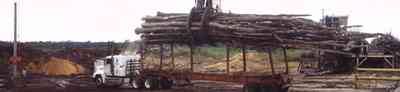 Brewton:-Jefferson-Smurfit-Company_3.jpg:  pulpwood, logs, plant, brewton, 18 wheeler