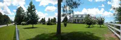 Cantonment:-Milestone:-Red-Brick-Mansion-B_01.jpg:  white board fence, pine tree, dorner window, columns, oak tree, crepe myrtle tree, country road