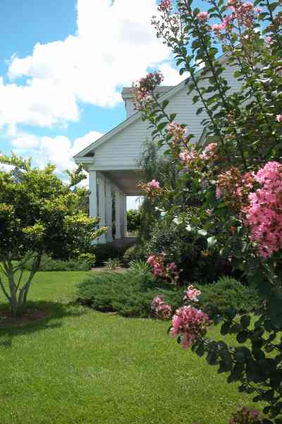 Cantonment:-Milestone:-Red-Brick-Mansion-B_03.jpg:  white board fence, pine tree, dorner window, columns, oak tree, crepe myrtle tree, country road