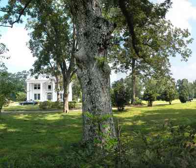Century:-Tannenheim_03.jpg:  victorian mansion, southern mansion, white columns, heart pine wood, tongue and groove walls, pasture, lake pecan orchard, plantation, rolling pastures, timber, country road