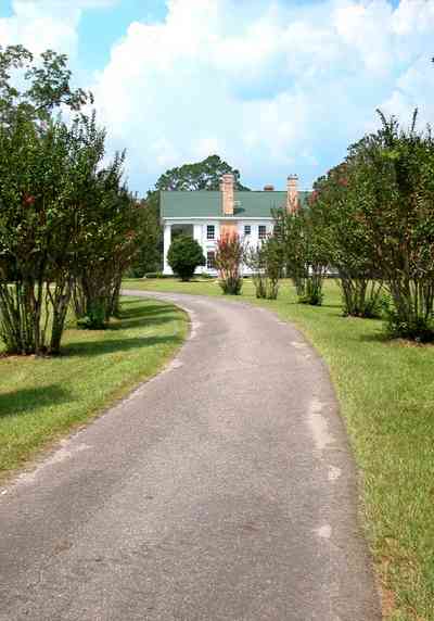 Century:-Tannenheim_11.jpg:  victorian mansion, southern mansion, white columns, heart pine wood, tongue and groove walls, pasture, lake pecan orchard, plantation, rolling pastures, timber, crepe myrtle trees, country road