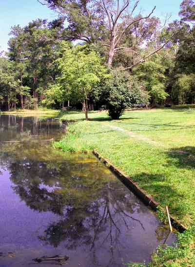 Century:-Tannenheim_31b.jpg:  victorian mansion, southern mansion, white columns, heart pine wood, tongue and groove walls, pasture, lake pecan orchard, plantation, rolling pastures, stable, timber, country road, steps, swimming pool, swimming hole