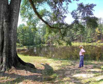 Century:-Tannenheim_35.jpg:  victorian mansion, southern mansion, white columns, heart pine wood, tongue and groove walls, pasture, lake pecan orchard, plantation, rolling pastures, timber, oak tree, fishing lake, country road